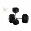 Weights, Barbells & Dumbbells 3 Kg Body Iron Commercial Rubber Hex Dumbbell Pair