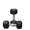 32.5 Kg Body Iron Commercial Rubber Hex Dumbbell Pair