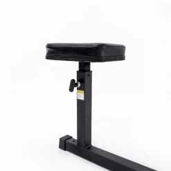 Body Iron Bicep Curl & Triceps Extension Strength