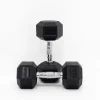 12.5 Kg Body Iron Commercial Rubber Hex Dumbbell Pair