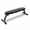 Strength Bodyworx Foldable Flat Bench C412FB
