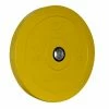 Bodyworx Coloured Bumper Plate 15KG Pair
