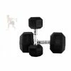 Weights, Barbells & Dumbbells 9 Kg Bodyworx Commercial Rubber Hex Dumbbell Pair
