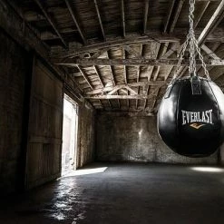 Everlast Wrecking Ball Boxing Bags