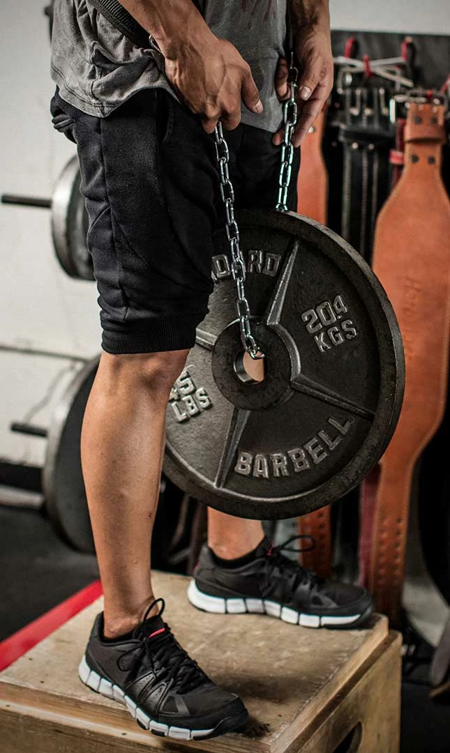 Harbinger PolyPro Dip Belt With Chain 4 Harbinger PolyPro Dip Belt With Chain