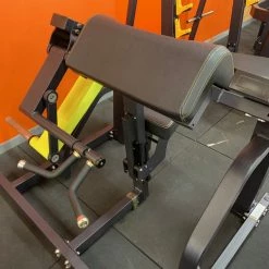 Machines And Multi Stations Body Iron Platinum Plate Loaded Bicep Machine