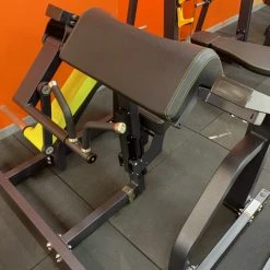 Machines And Multi Stations Body Iron Platinum Plate Loaded Bicep Machine