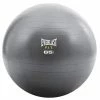 Everlast 65cm Fitball Yoga & Pilates