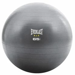 Everlast 65cm Fitball Yoga & Pilates