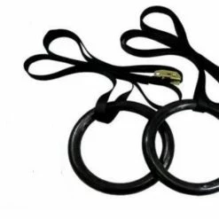 Body Iron Bodyworx Gymnastic Rings Body Weight Training