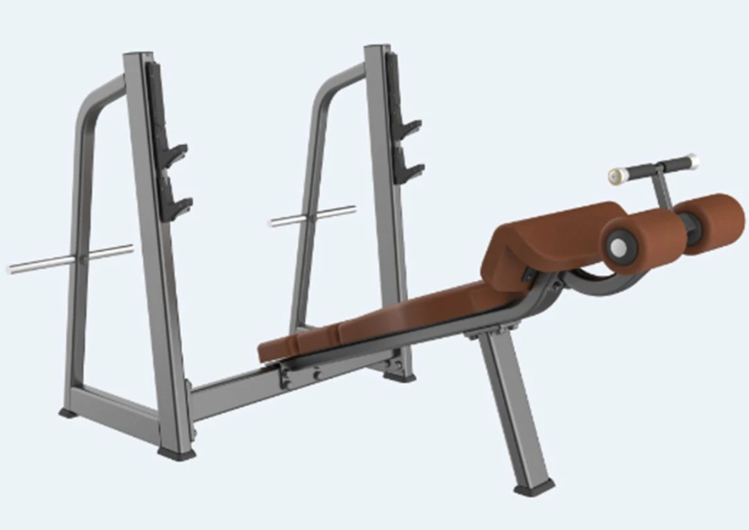 Body Iron Platinum Commercial Fixed Decline Bench Press Strength 3 Body Iron Platinum Commercial Fixed Decline Bench Press Strength